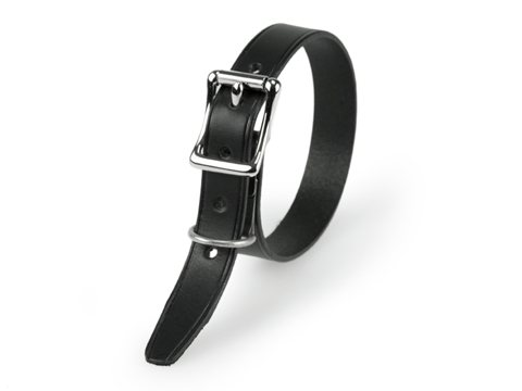 19mm Bondage Collar with D~Ring